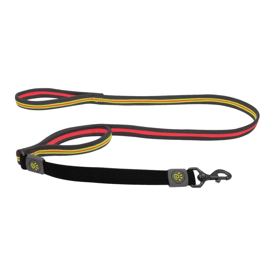 DOCO® Solar Mesh Bungee Dog Leash